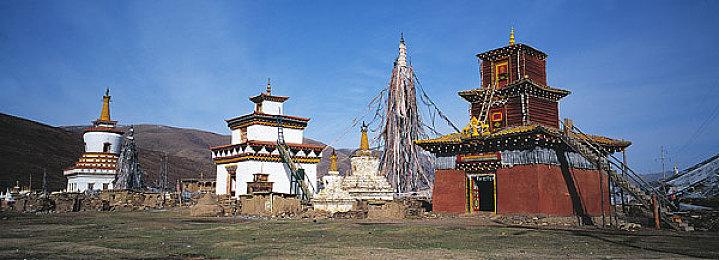 《JOJO群星之战R》第三部己方占卜师角色预告